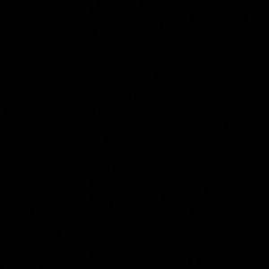 Meet your Posher, Damien